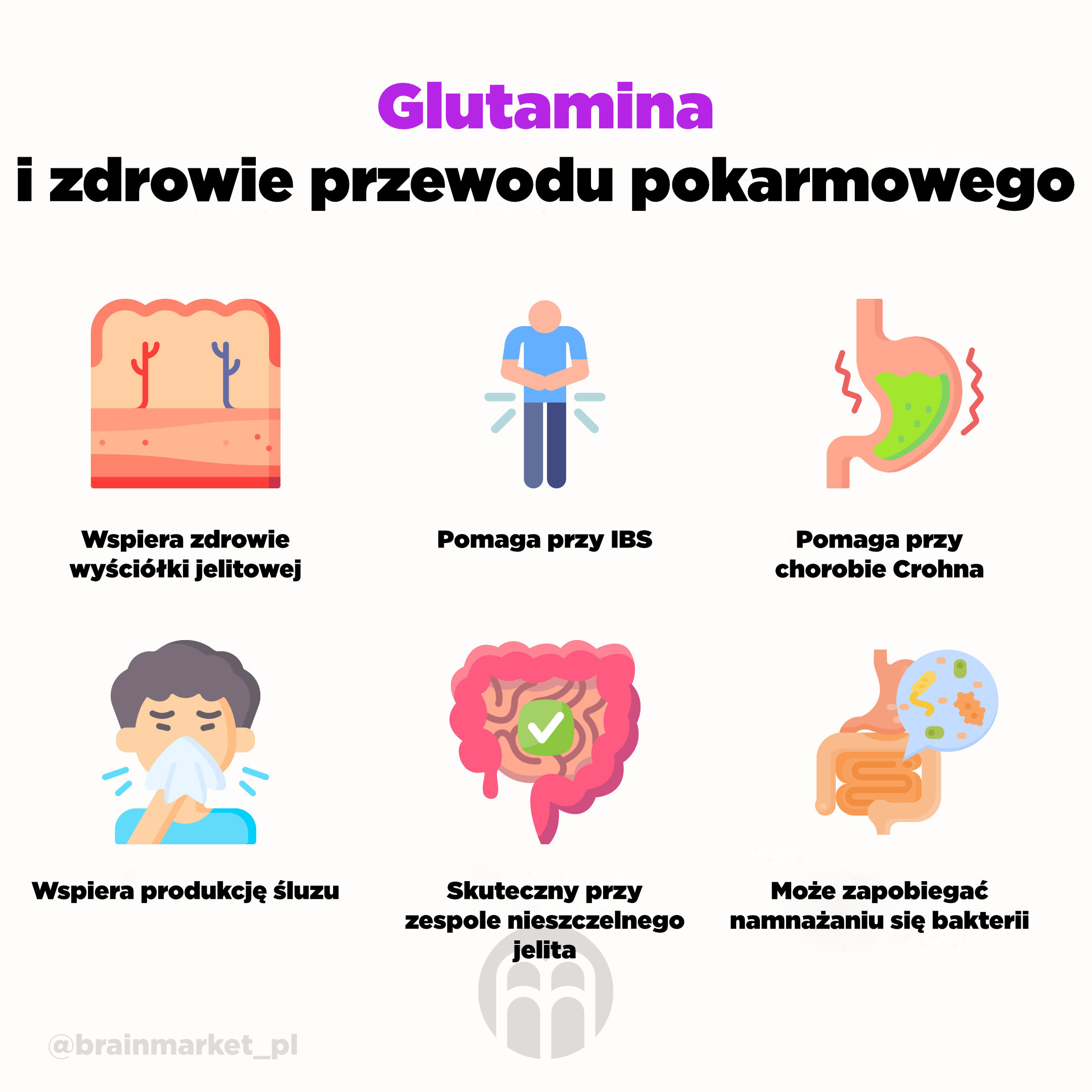 glutamin a gastro. zdravi infografika brainmarket_pl